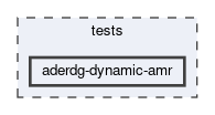 tests/aderdg-dynamic-amr