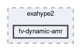 tests/exahype2/fv-dynamic-amr
