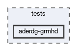 tests/aderdg-grmhd